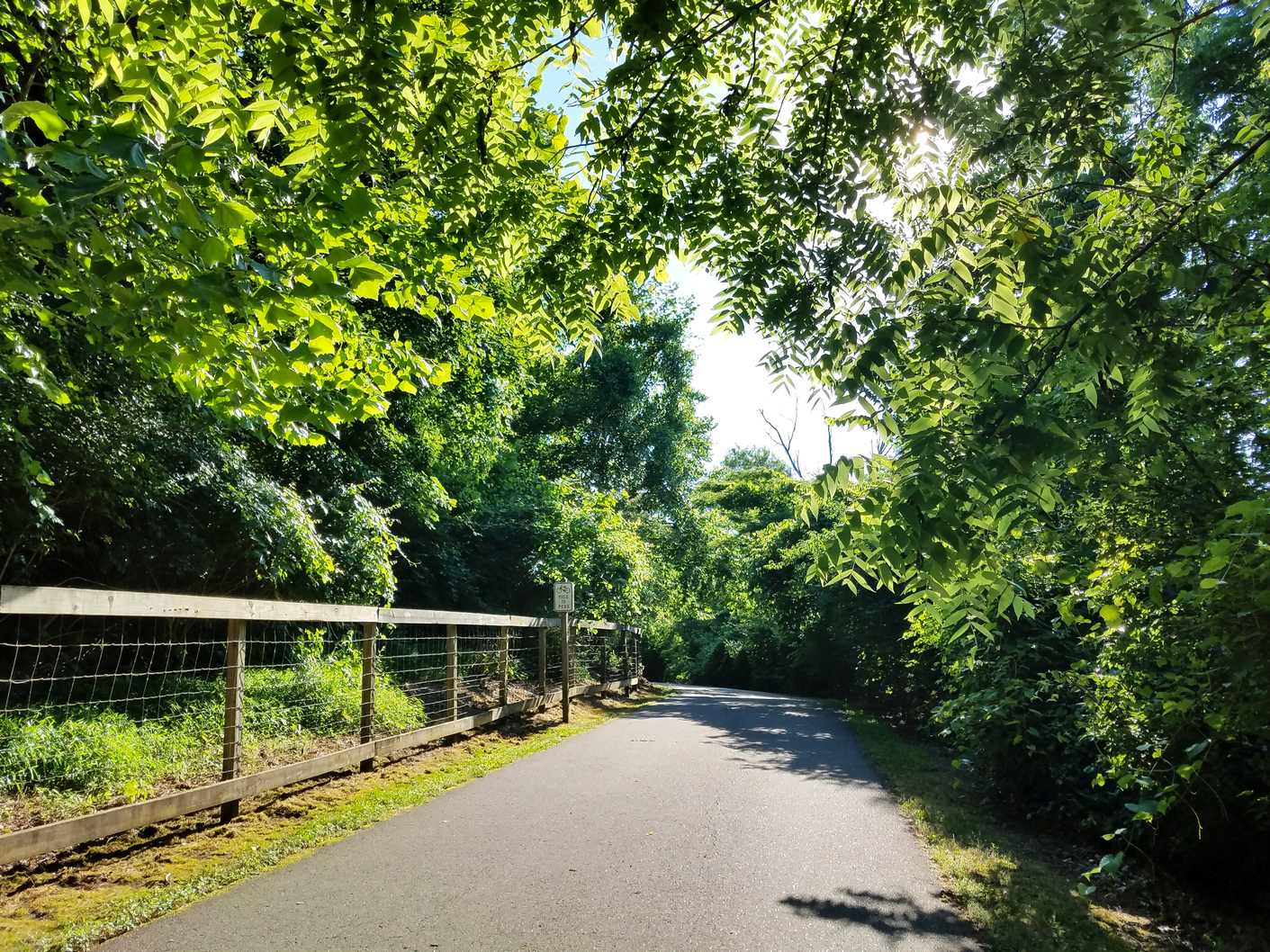 Paved trail through the woods in Hermitage, TN